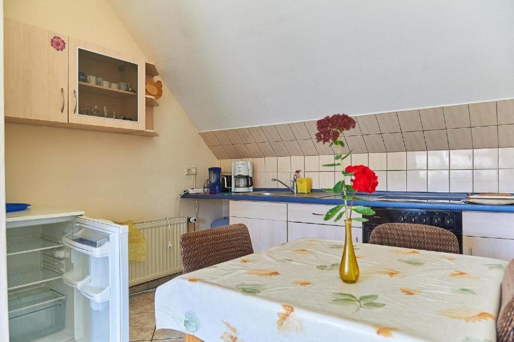 Schwalbenhof Woellnau Apartment Doberschutz Екстериор снимка