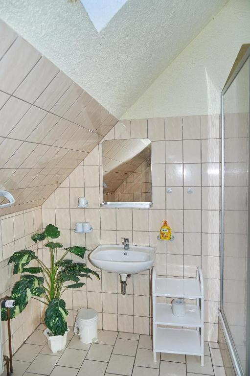 Schwalbenhof Woellnau Apartment Doberschutz Екстериор снимка