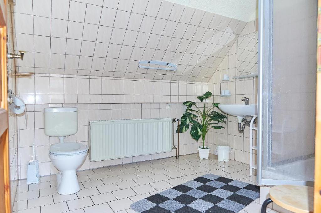Schwalbenhof Woellnau Apartment Doberschutz Екстериор снимка